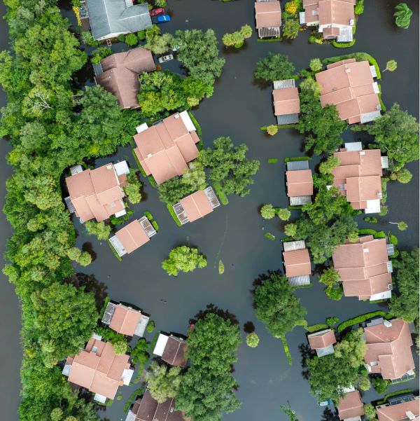 Property Risk Exposure